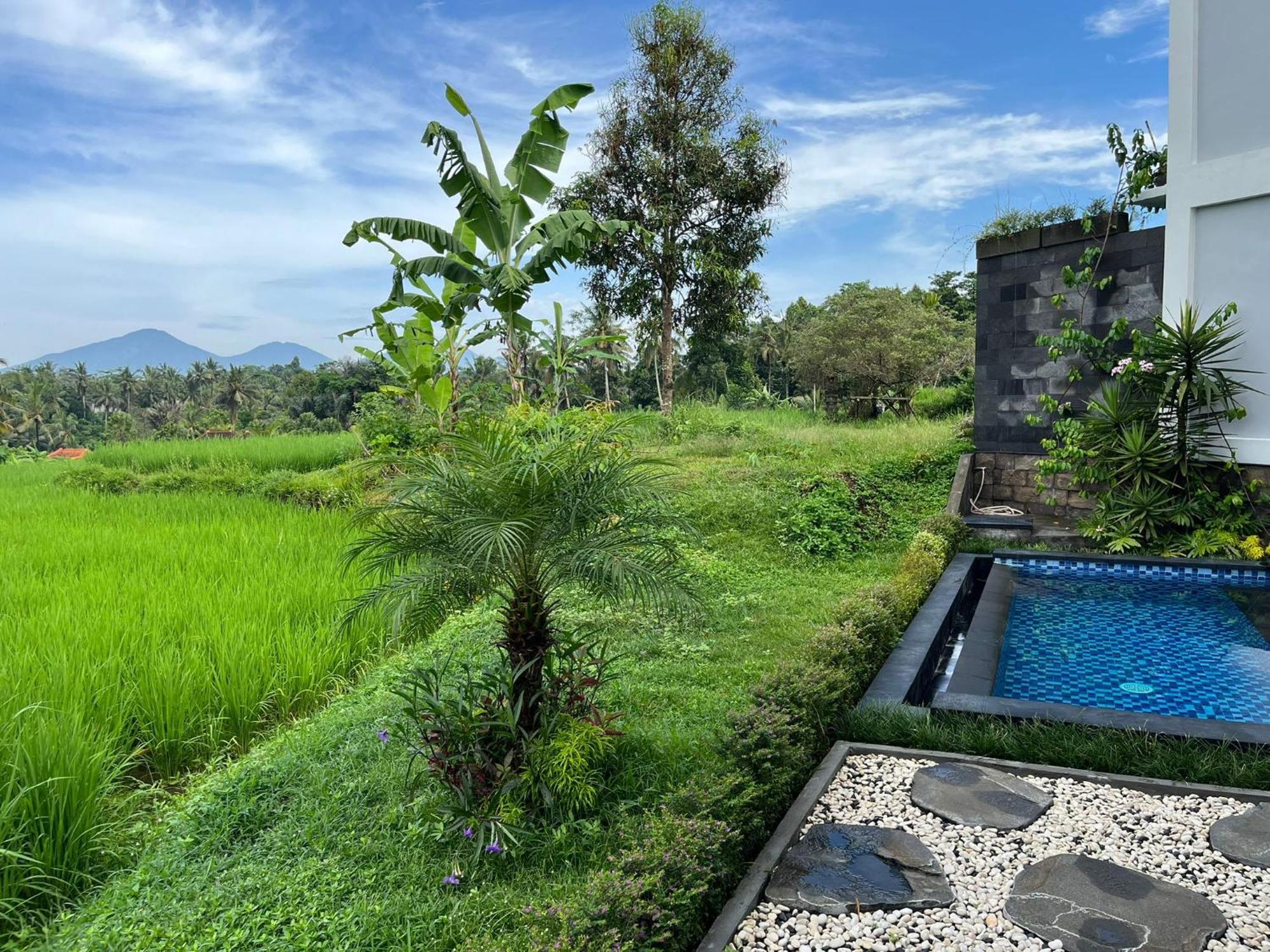Maple Ridge Ubud Villas Экстерьер фото